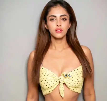 Priya-Banerjee-Hot-Photo-118437 Photos